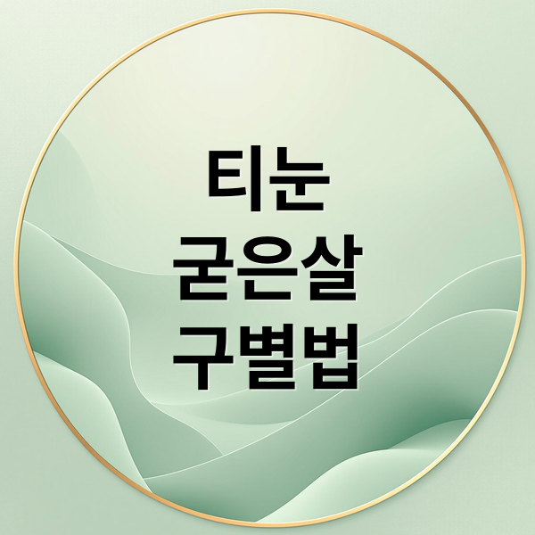 티눈 vs 굳은살 vs 사마귀: 원인, 구별법, 치료 및 예방 완벽 가이드