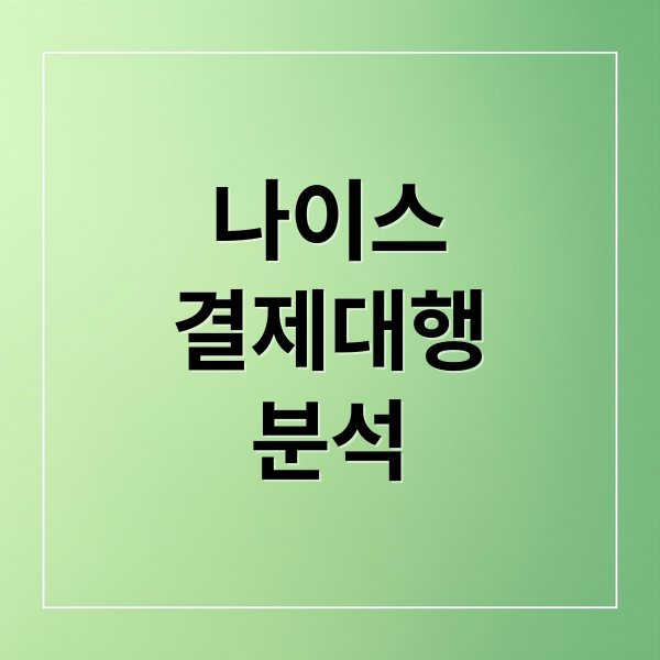 NICE 결제대행 완벽 분석: 거래내역 조회부터 소비 패턴 분석까지