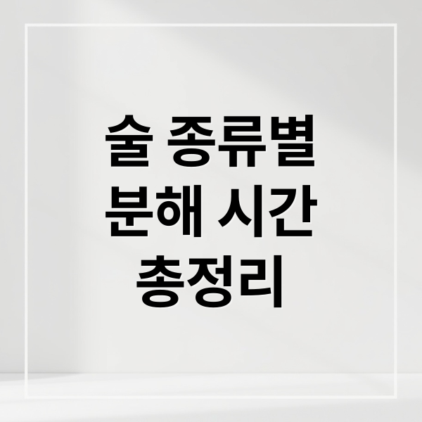 술 종류별 알코올 분해 시간 총정리: 성별, 체중, 음주운전 기준까지