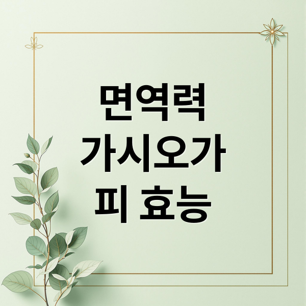 가시오가피 효능 극대화: 면역력 증진 식단 & 영양제 꿀조합