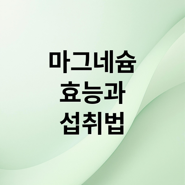 마그네슘 효능 A to Z: 부족 증상부터 섭취 방법, 수면 효과까지!