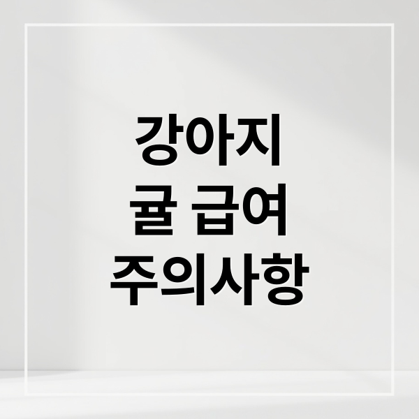 강아지 귤 급여 A to Z: 안전하게 주는 법, 급여량, 주의사항 완벽 가이드