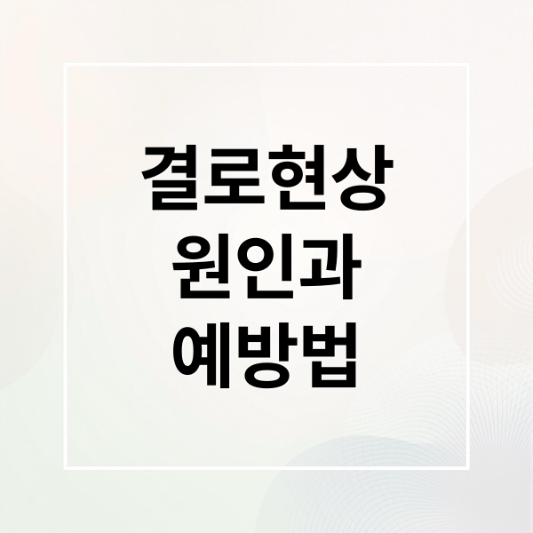 겨울철 창문 결로, 곰팡이 원인부터 완벽 제거 및 예방 꿀팁